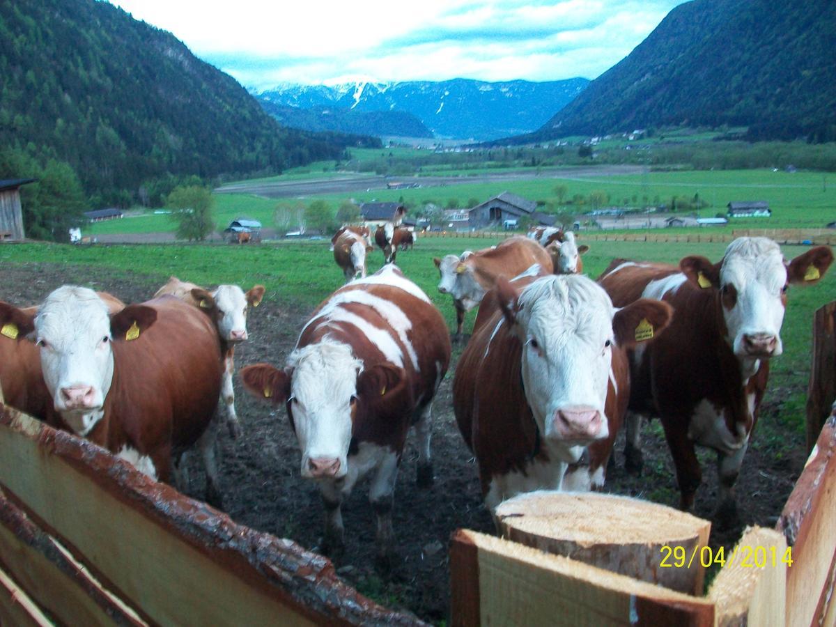Vila Luggishof Campo Tures Exteriér fotografie